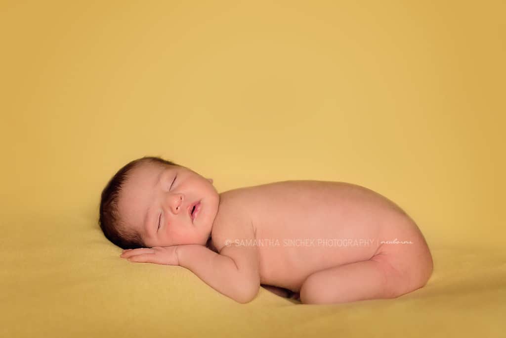 newborn pictures in cincinnati ohio with samantha sinchek