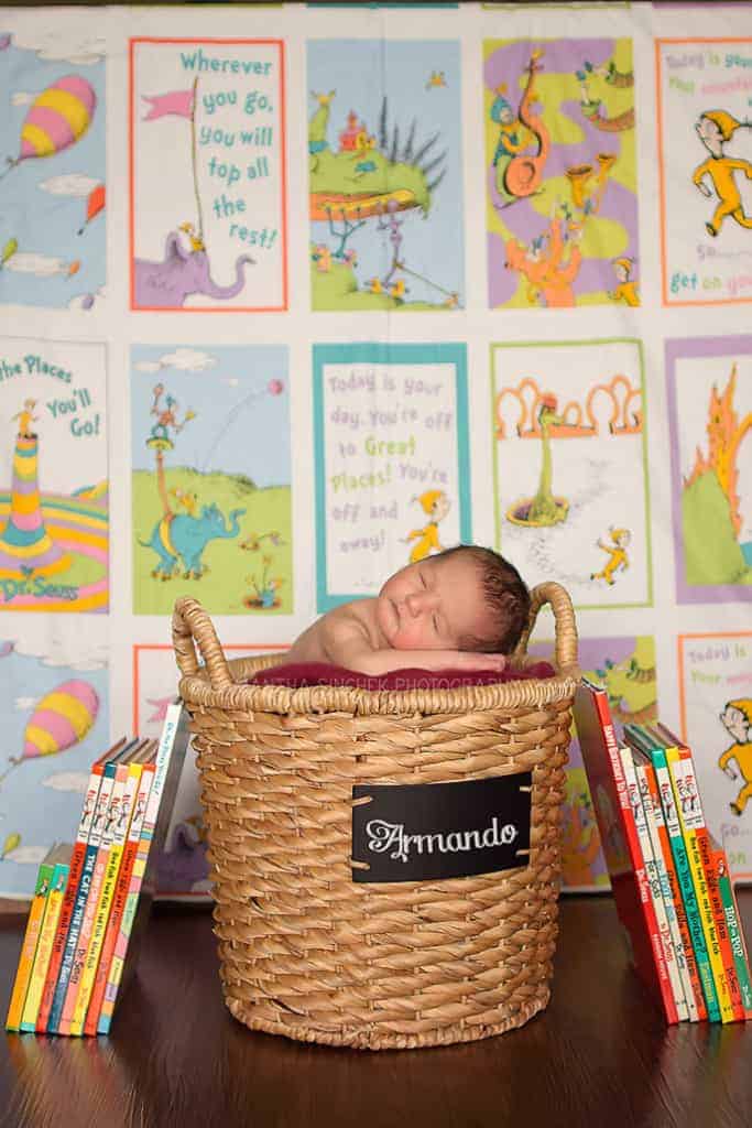 adorable dr suess setup with cincinnati newborn photographer
