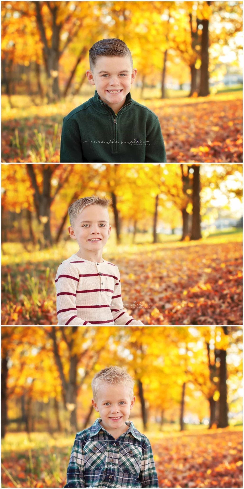 cincinnati family photographer samantha sinchek photography at sharon woods with the cripe family