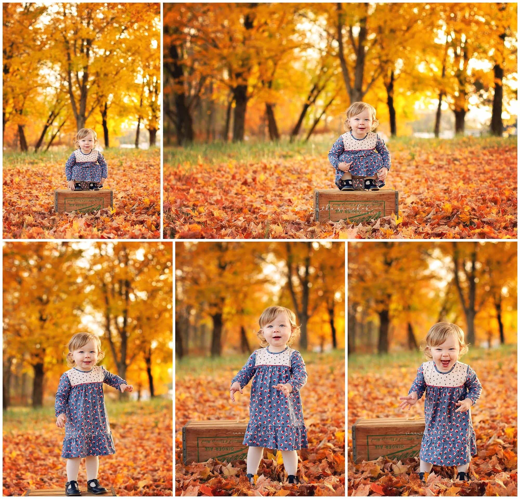 cincinnati family photographer fall sharon woods mini session sinchek