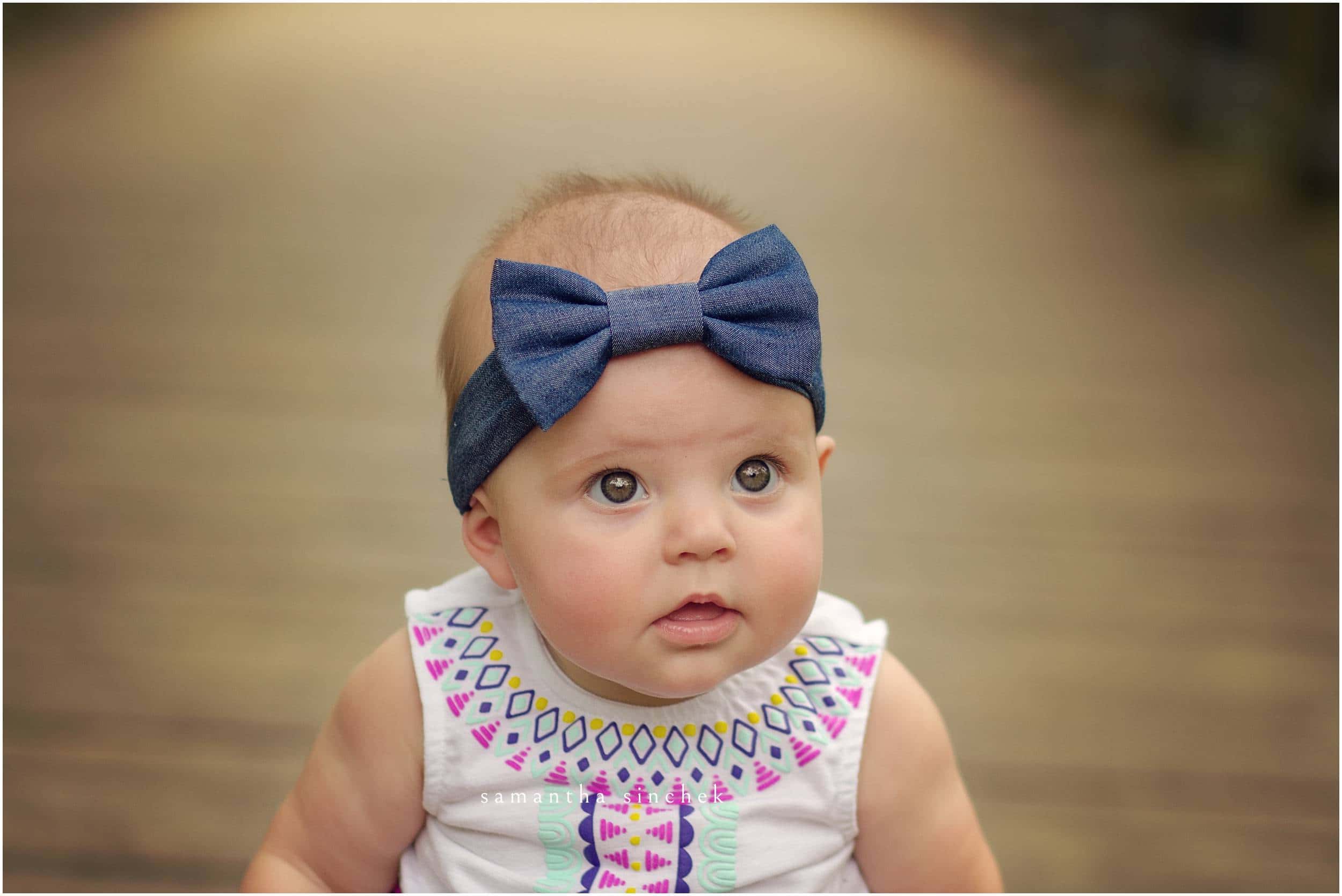 6 month old photo session at sharon woods with samantha sinchek photography of cincinnati