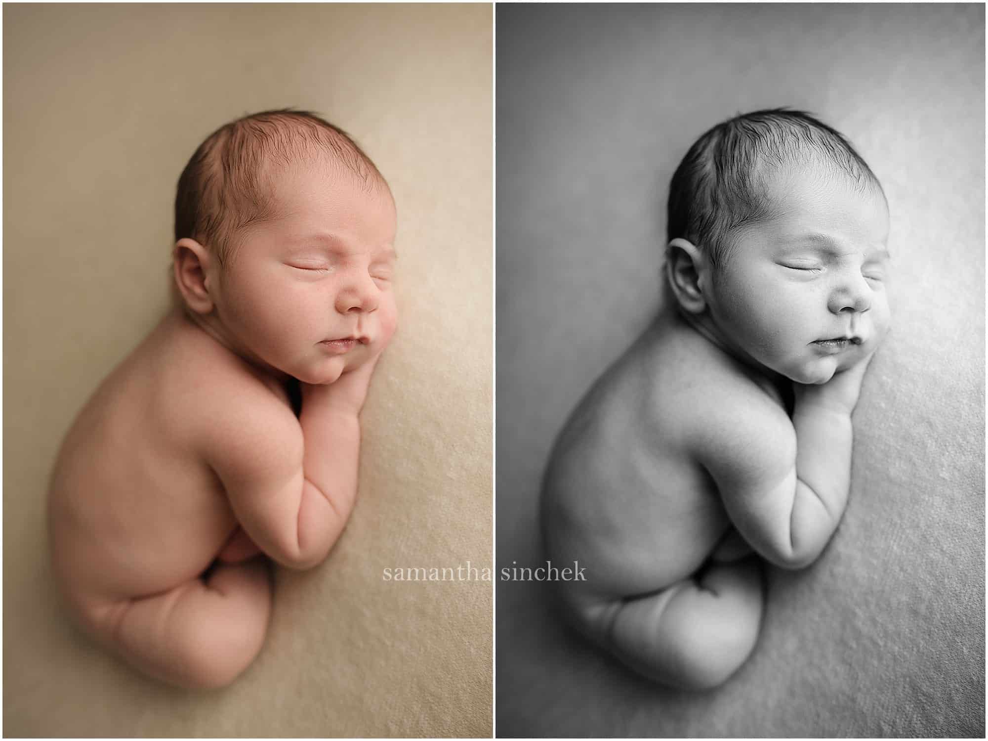 award winning cincinnati newborn photographer Samantha sinchek