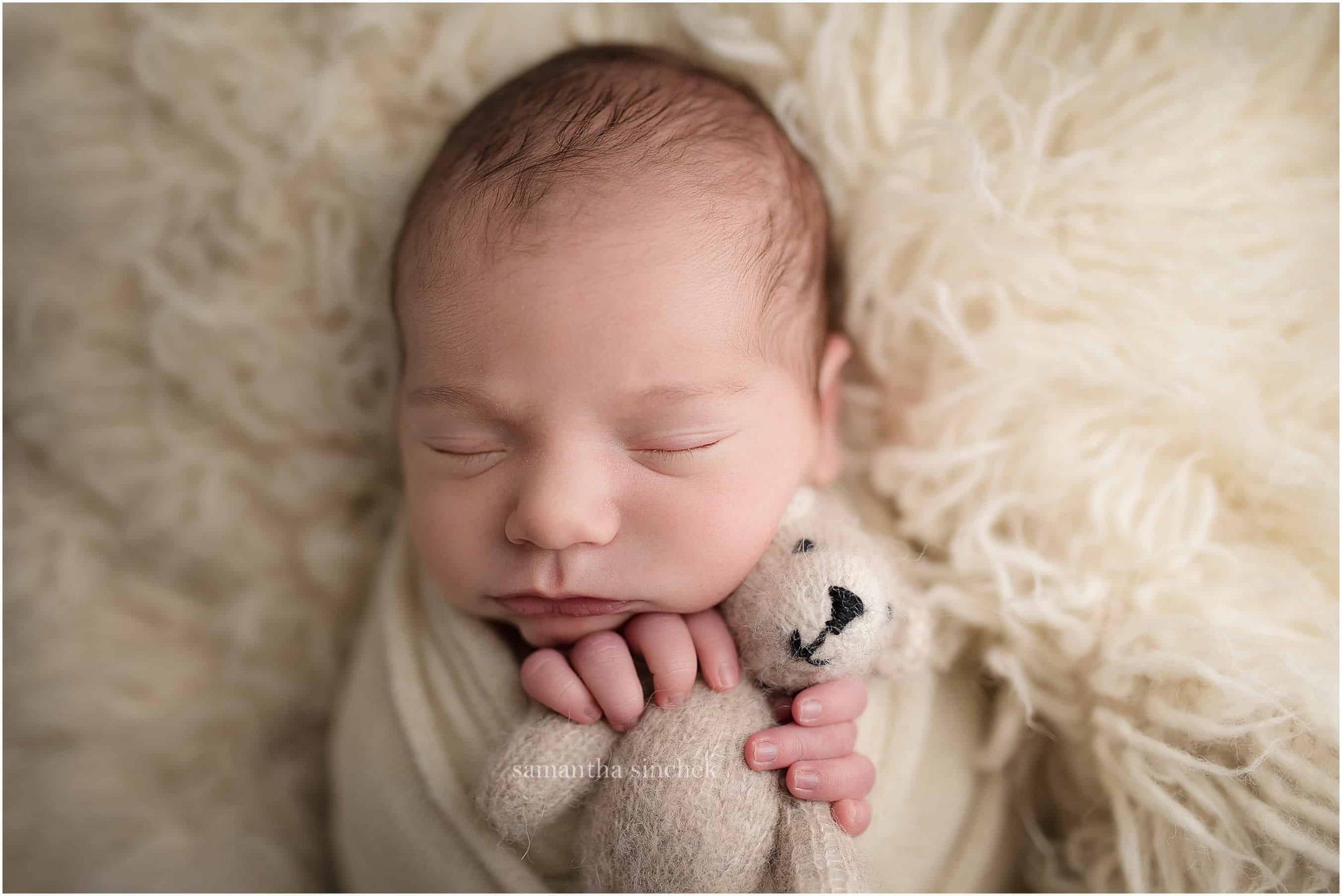 newborn holds small bear during pictures with Samantha sinchek photography of Cincinnati Ohio