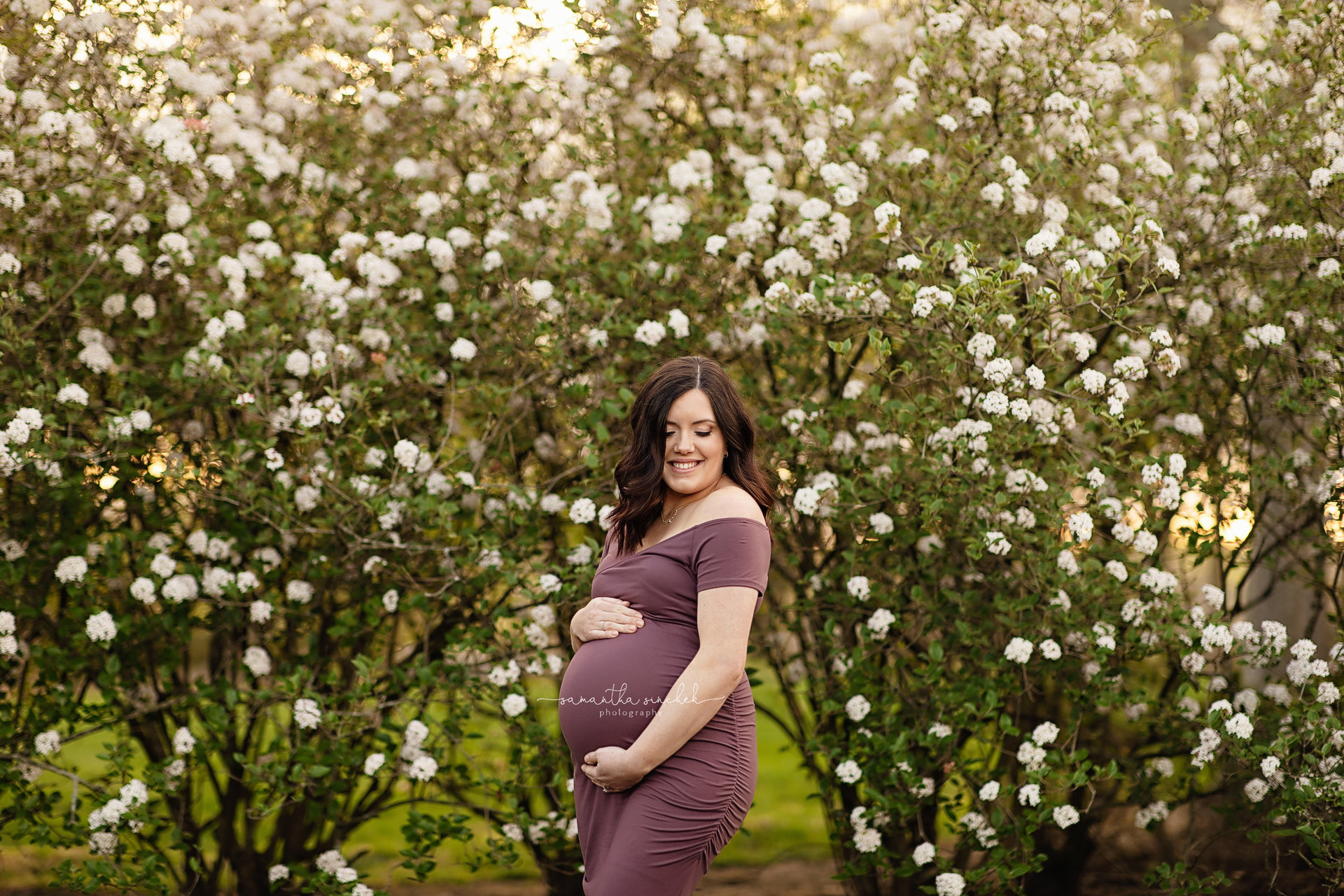 maternity mother at Glenwood gardens in Cincinnati Ohio with blooming flowers