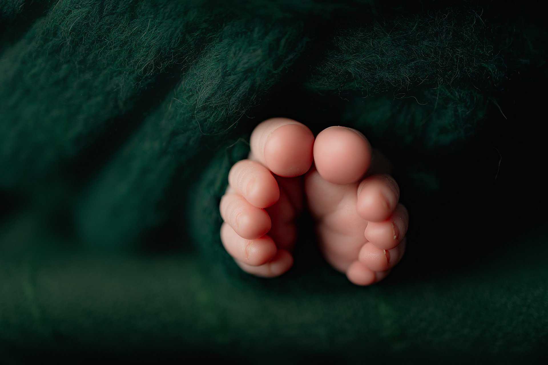 newborn photography cincinnati ohio sinchek elliott 2023 0012